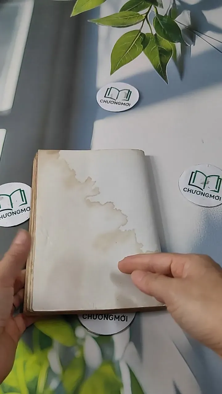 Điều Chỉnh Những Bất Hòa Trong Quan Hệ Vợ Chồng - GS. Đặng Phương Kiệt 727256