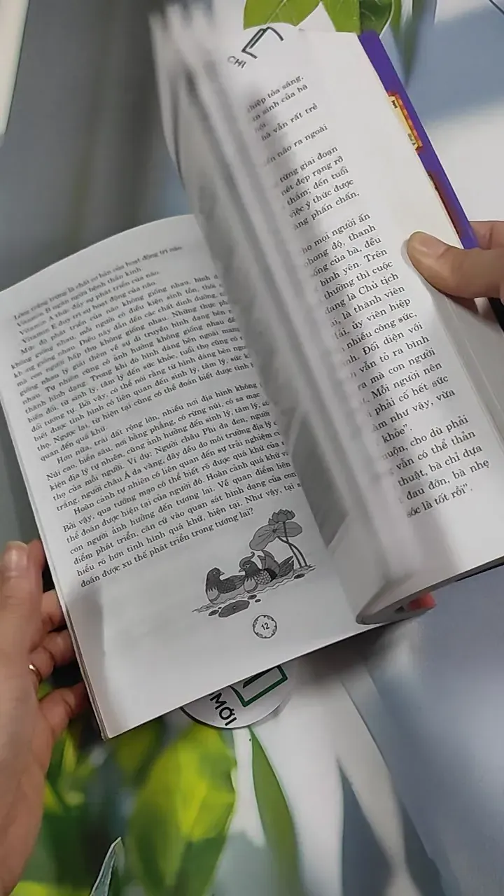 Xem Nhanh Vận Mệnh Tướng Mặt - Từ Liêm 776246