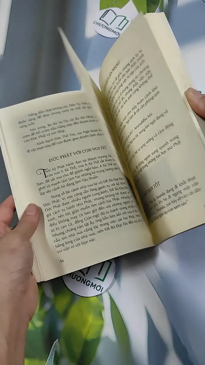 Những mẩu chuyện Phật giáo dành cho thiếu nhi - Đức Kiên 776217