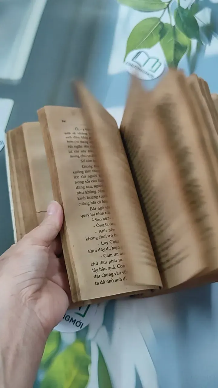 [XƯA] Ông Chủ Ballantra (1990) - Robert Louis Stevenson 776098