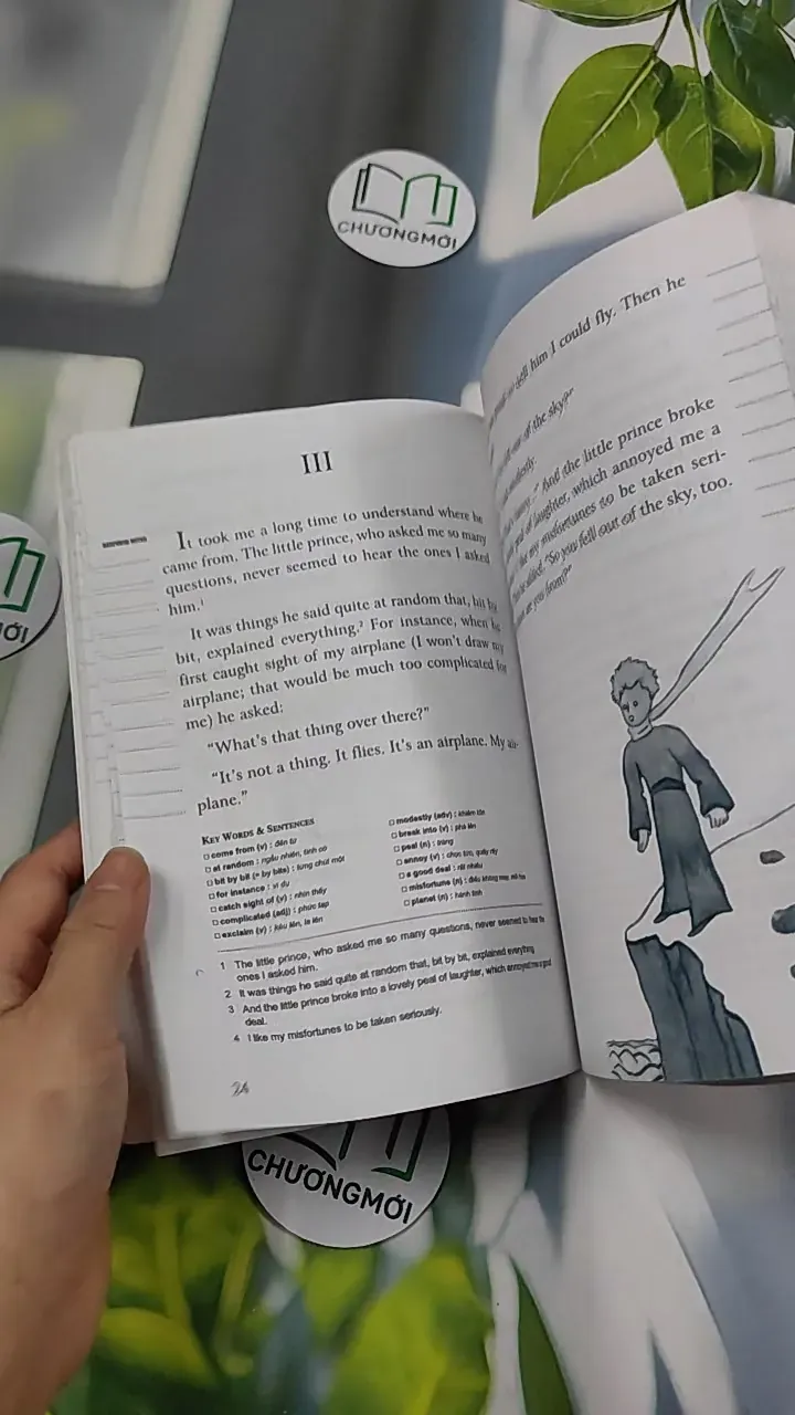 The Little Prince - 800 Words - Antoine de Saint-Exupéry 754533