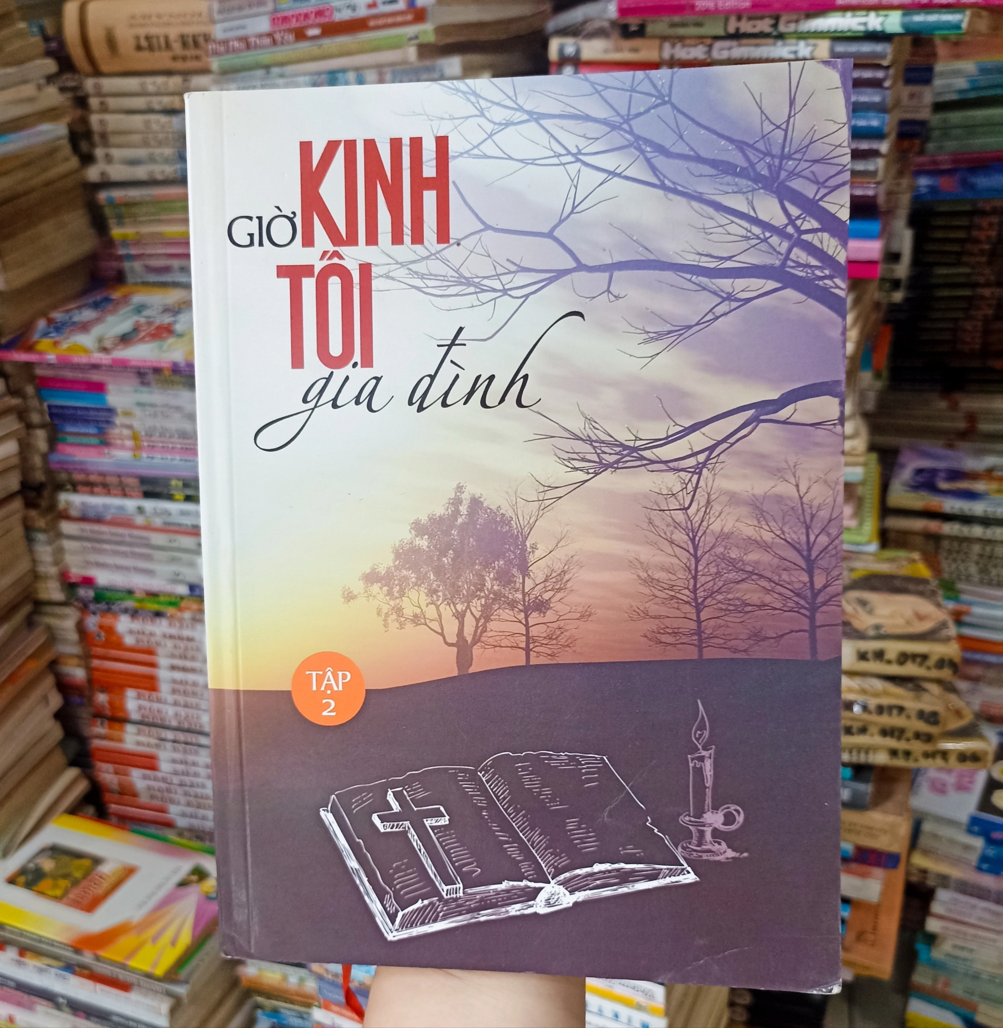 Giờ kinh tối gia đình - Tập 2 🌻 by Roger Faligot - Sách Book Cover - Ngọc Hiển Books