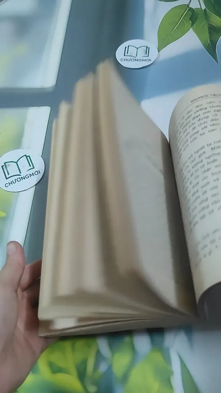 Nghệ Thuật Sống (1995) 727354