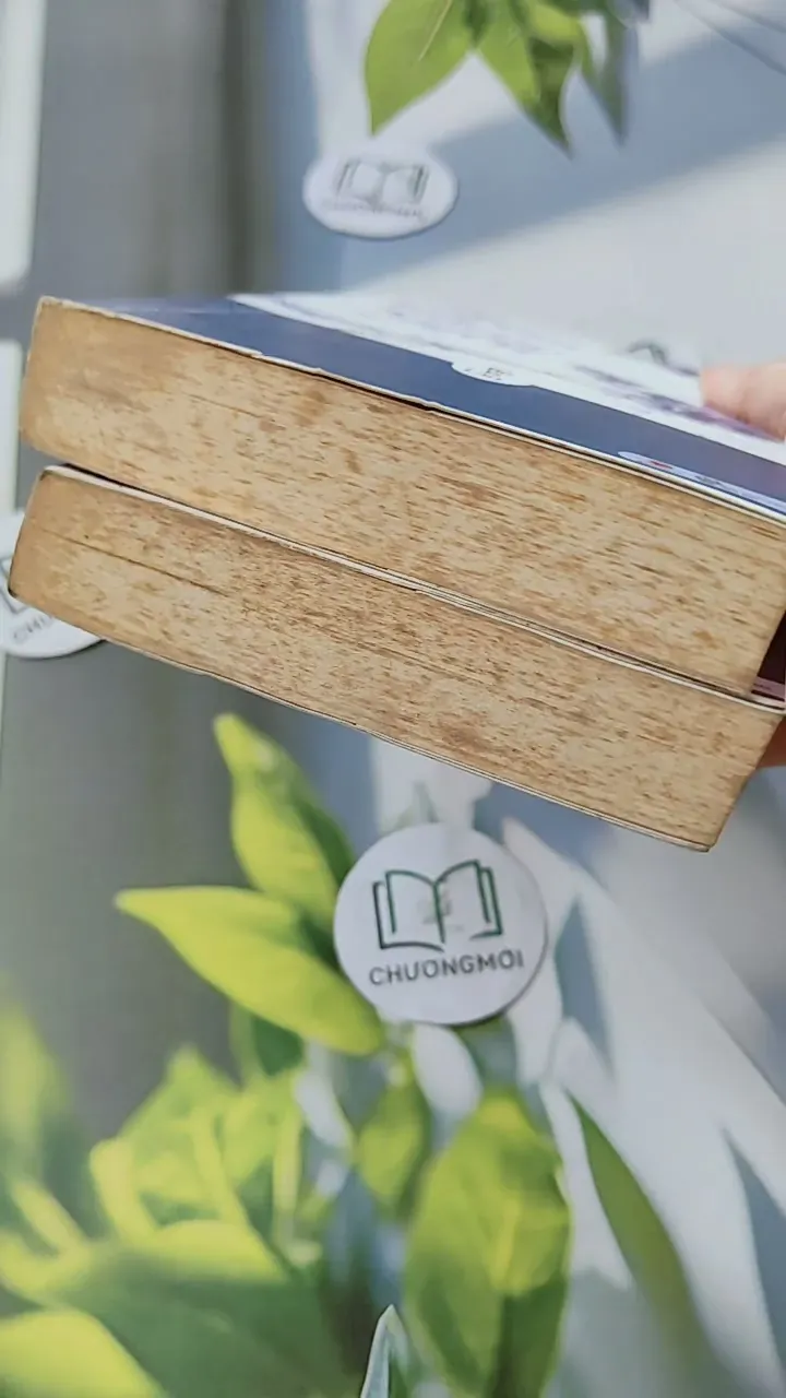 Bộ Trầm Hương Uyển - Bộ Vi Lan 744691