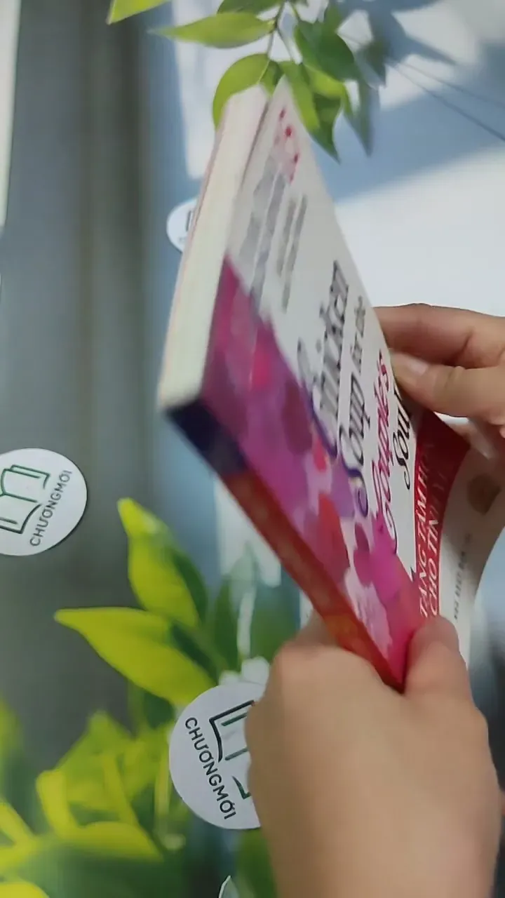 Chicken Soup For The College Soul - 15: Qua Tặng Tâm Hồn Dành Cho Tình Yêu - Jack Canfiel 705752