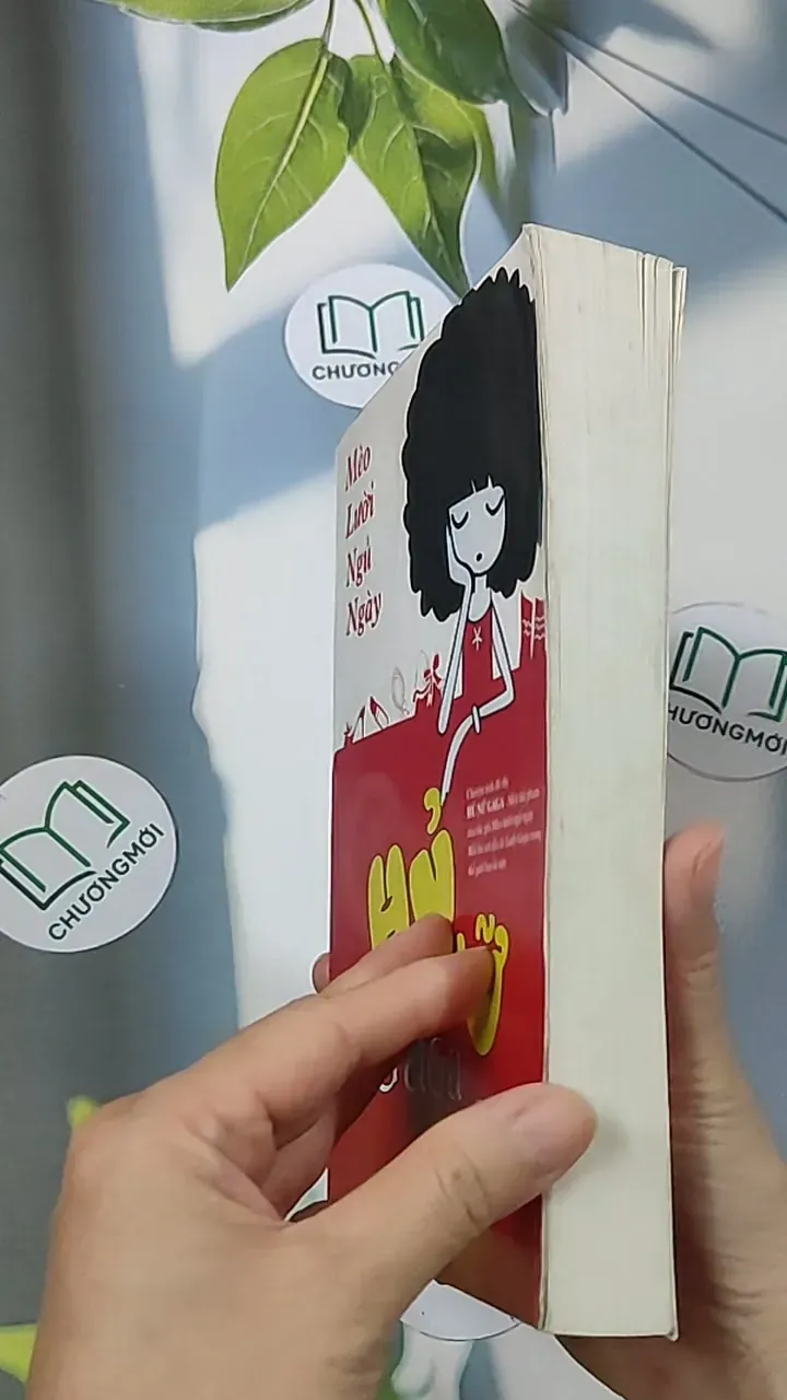 Hủ nữ Gaga - Mèo Lười Ngủ Ngày 688661