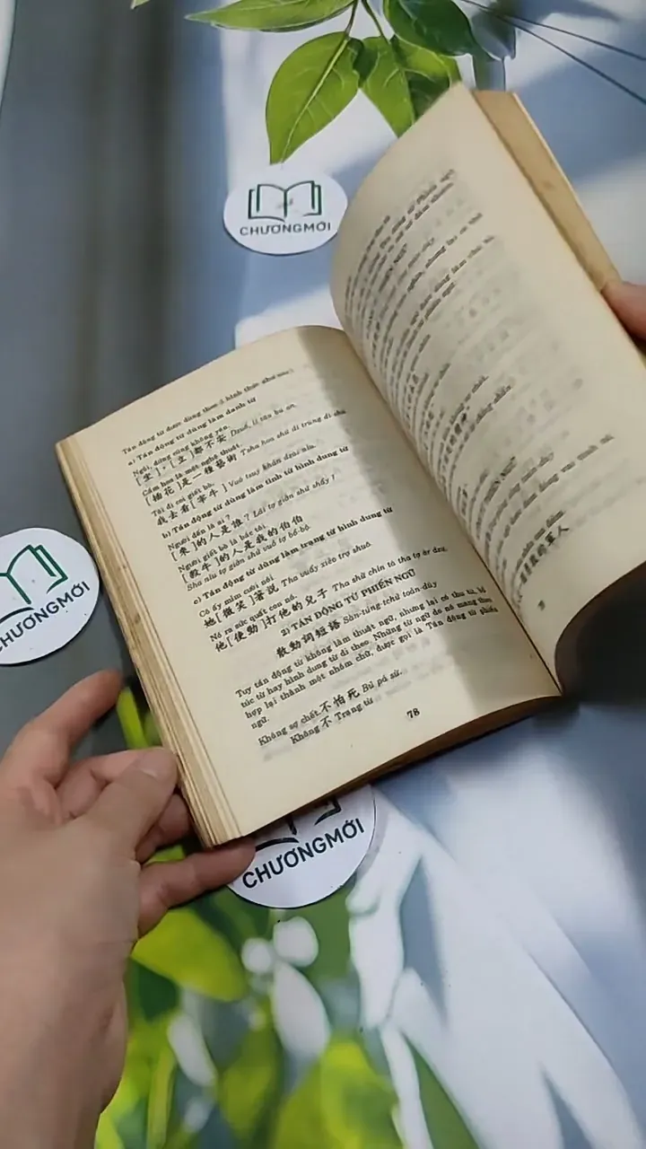 Tự Học Tiếng Phổ Thông Trung Hoa - Dương Hồng 713891