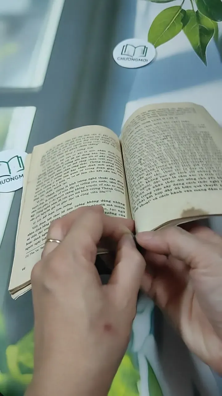 Một Số Vấn Đề Về Văn Nghị Luận Ở Cấp Hai - GS Nguyễn Thanh Hùng 727338