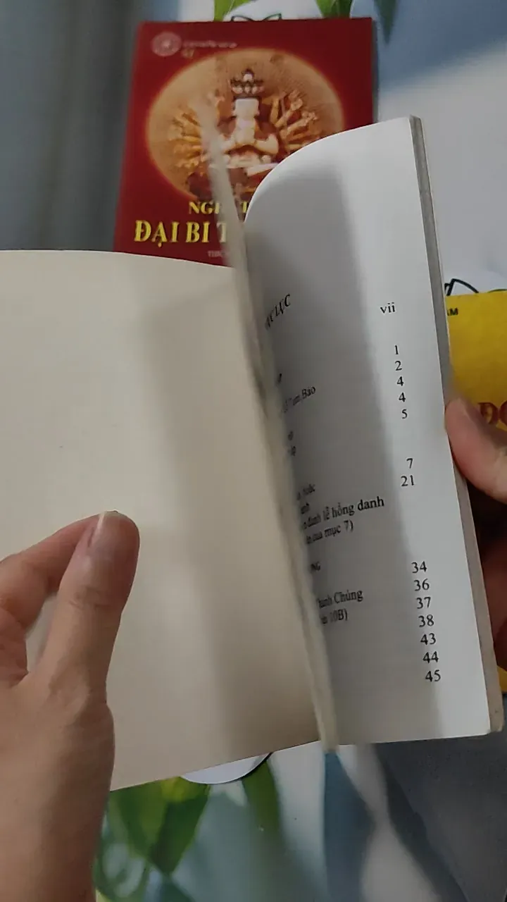 Combo Đại Bi Thập Chú, Kinh Nhân Quả, Nghi Thức Sám Hối 928566