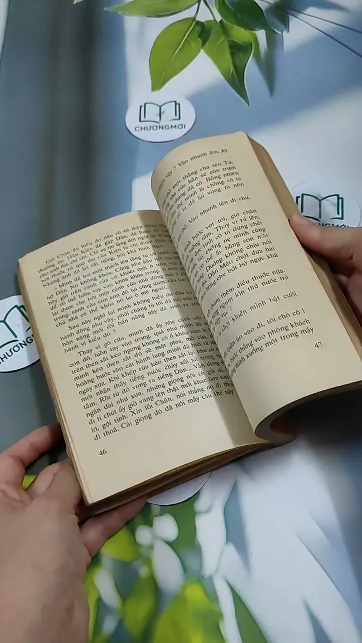 Người Đàn Bà Tuổi Bính Thân - Phạm Thị Minh Thư 713893