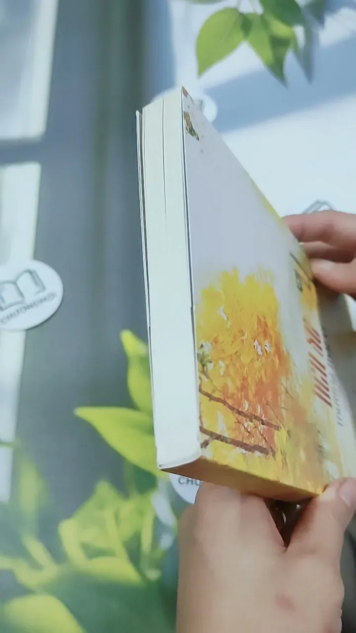 Bến Xe - Thương Thái Vi 744709