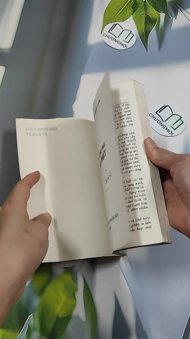 [XƯA] Các Tông Phái Đạo Phật (1995) - Đoàn Trung Còn 776150