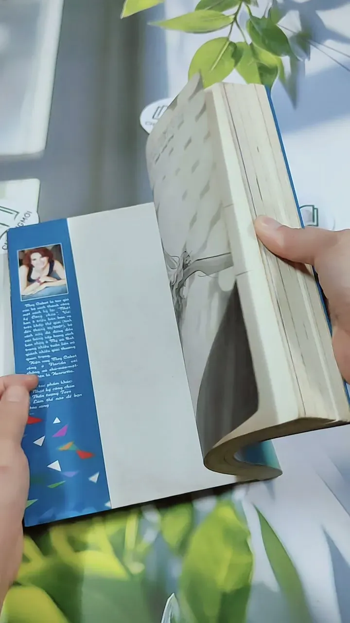 Airhead 2: Being Nikki Trở Thành Siêu Mẫu - Meg Cabot 744773