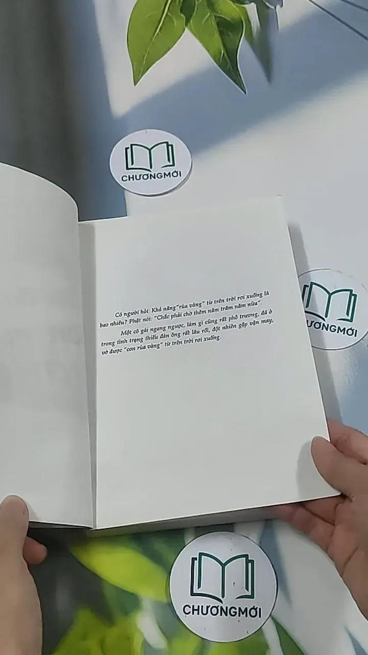 Câu được con rùa vàng - Không Hữu Cố Sự 694994