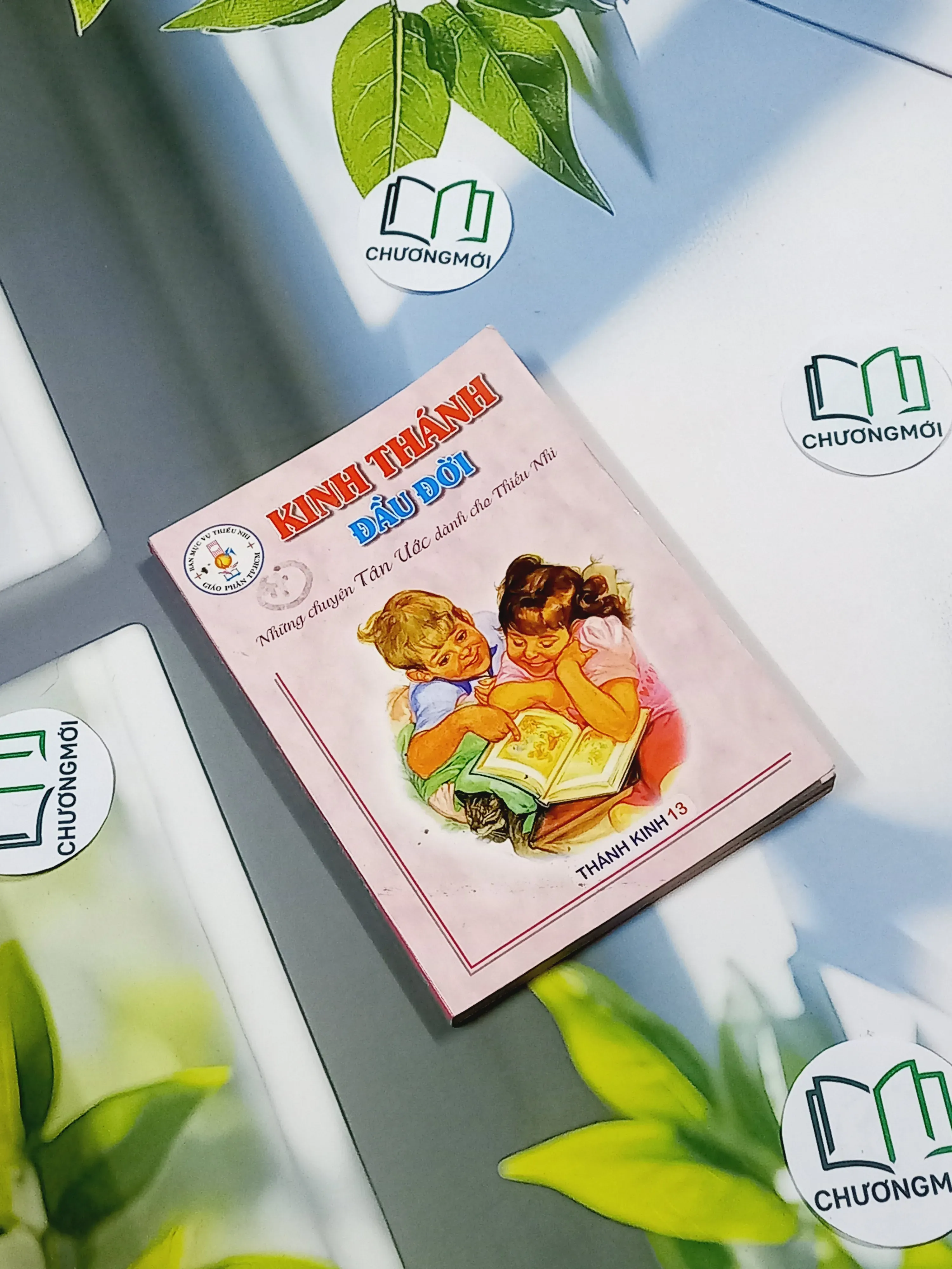 Kinh Thánh Đầu Đời - Thánh Kinh 13