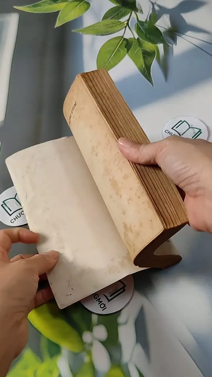 Tuyệt Mù Bóng Chim - Alan Paton 713811