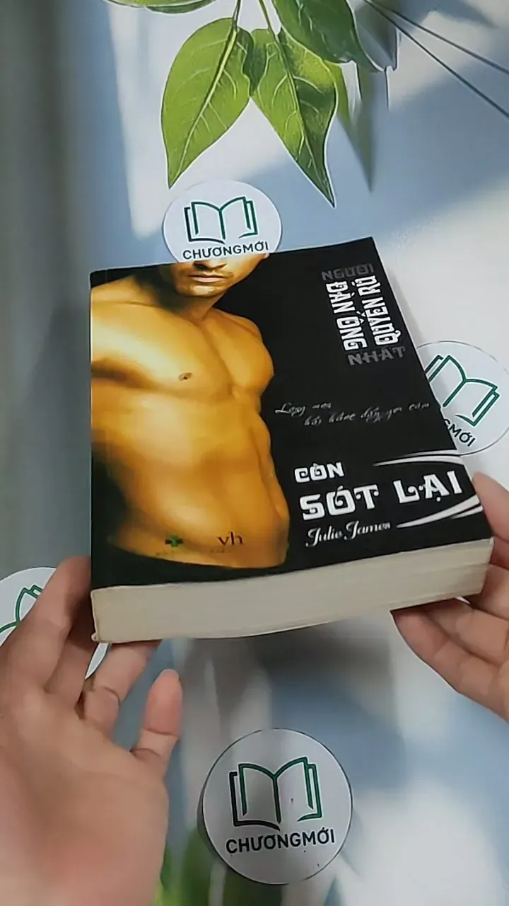 Đàn ông quyến rũ còn sót lại - Julie James 688694