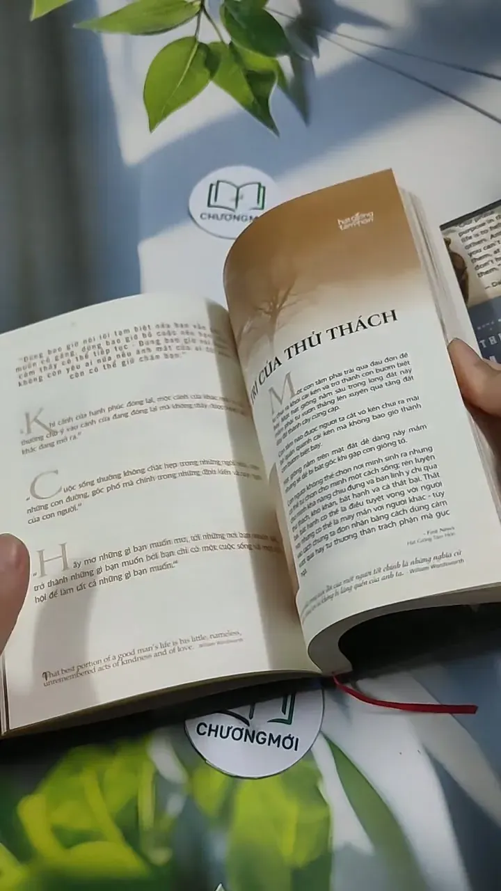 Timeless Values - Giá Trị Vĩnh Hằng - Inspirational Handbook 707294