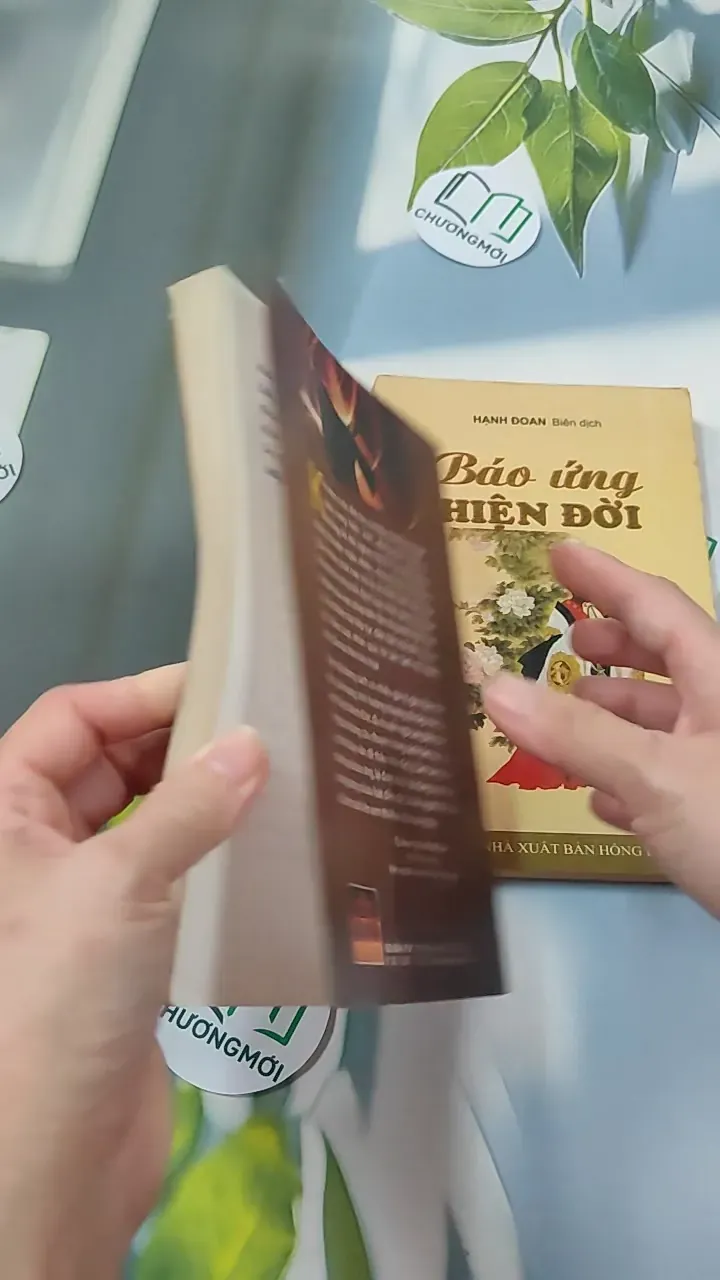 Combo: Nhân Quả Báo Ứng, Báo Ứng Hiện Đời 776102