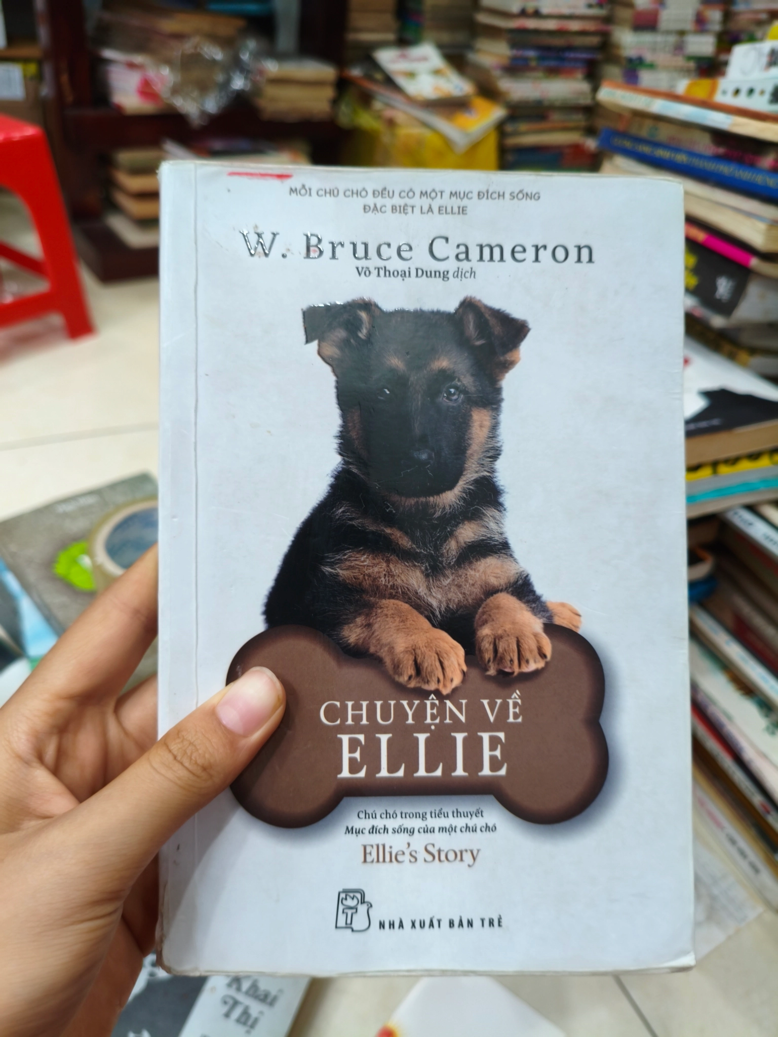 Truyện về Ellie 🌱 by  - Sách Book Cover - Ngọc Hiển Books