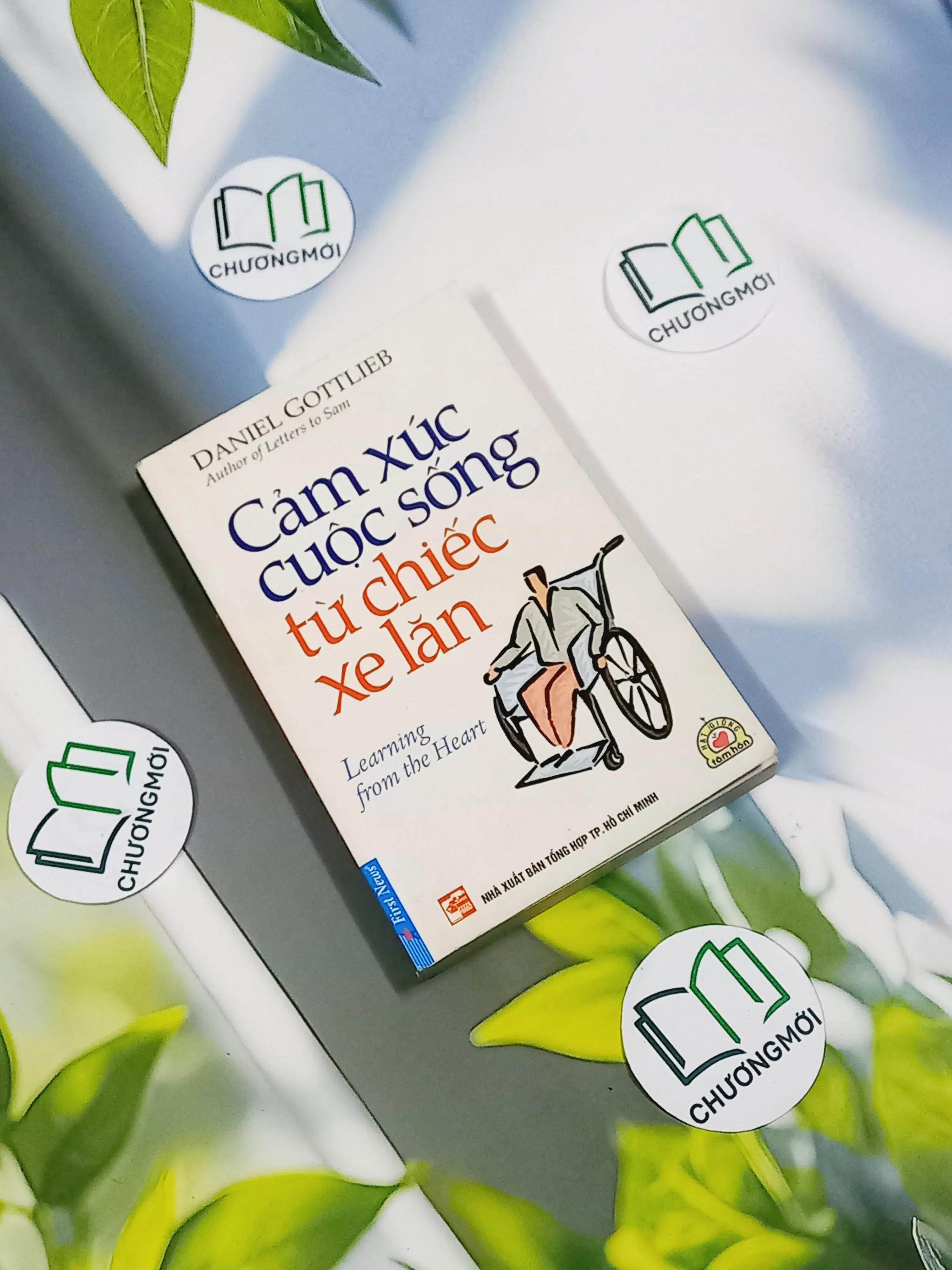 Cảm Xúc Cuộc Sống Từ Chiếc Xe Lăn - Daniel Gottlieb