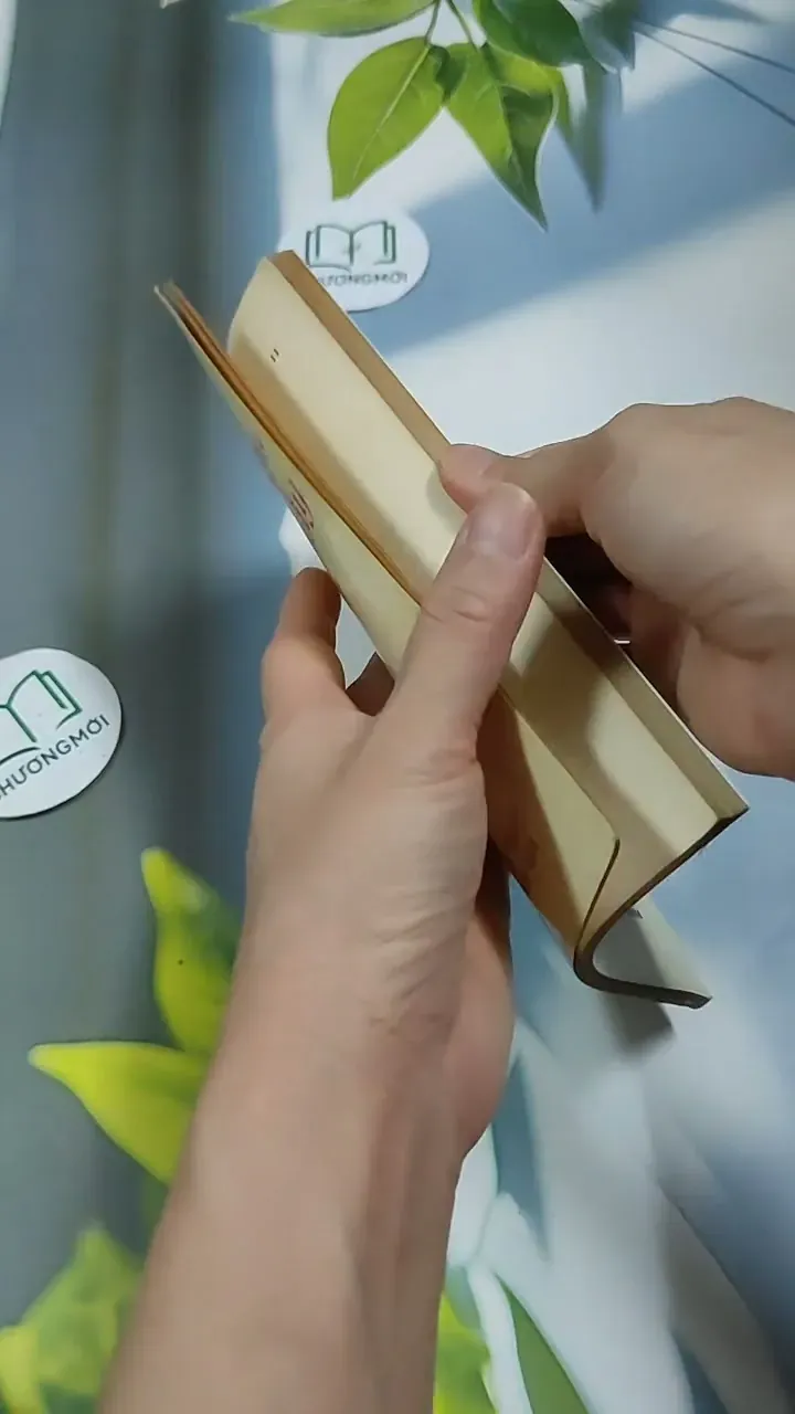 Những Điều Trông Thấy - Thơ  - Bảo Định Giang 713888