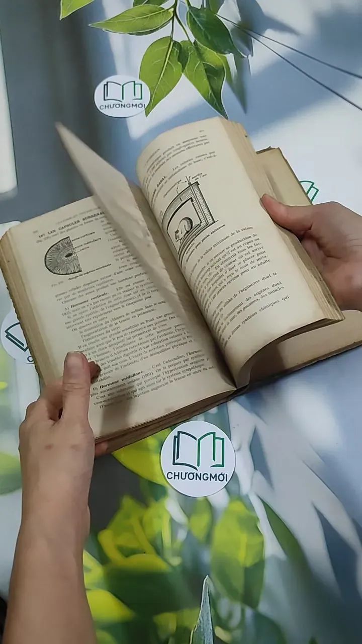 [MIỄN PHÍ BỌC SÁCH] Sciences Naturelles - Collectif 750826