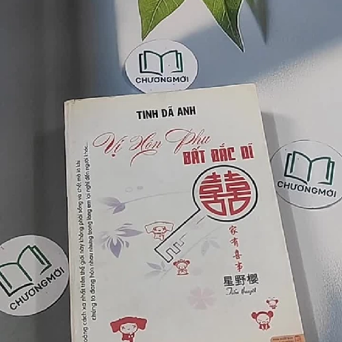 Vị hôn phu bất đắc dĩ - Tinh Dã Anh