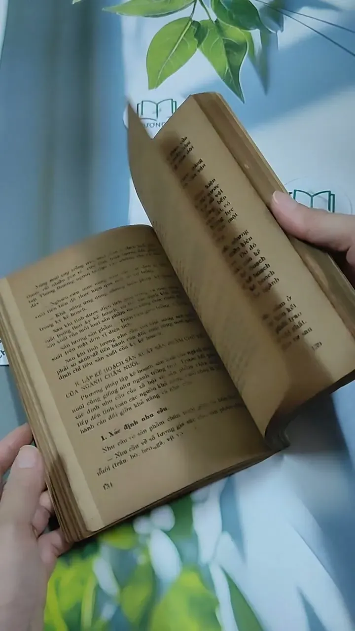 Kế Hoạch Hóa Kinh Tế Quốc Dân - Du Lô Giang 713884