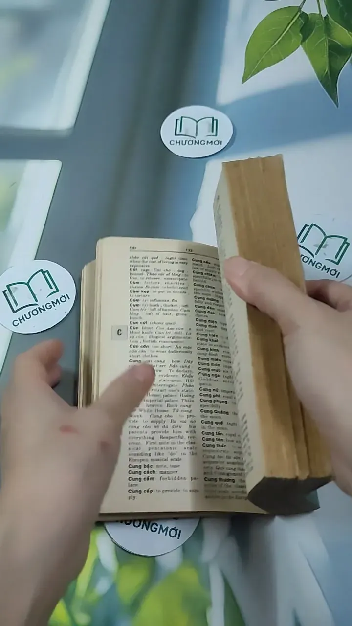 Từ Điển Việt - Anh 1997 (Từ Điển Việt - Anh 1997) 727296