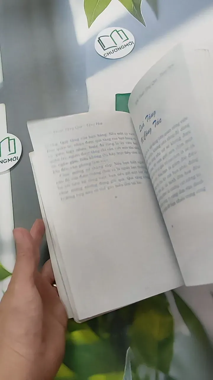 Combo Nghệ Thuật Tặng Hoa, Tặng Quà Và Những Lời Chúc Tốt Đẹp Nhất - Thái Bình 787502