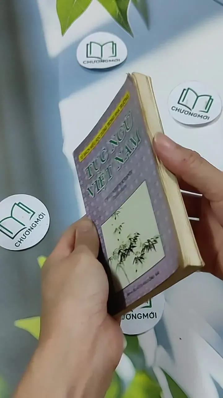 Tục Ngữ Việt Nam 703146