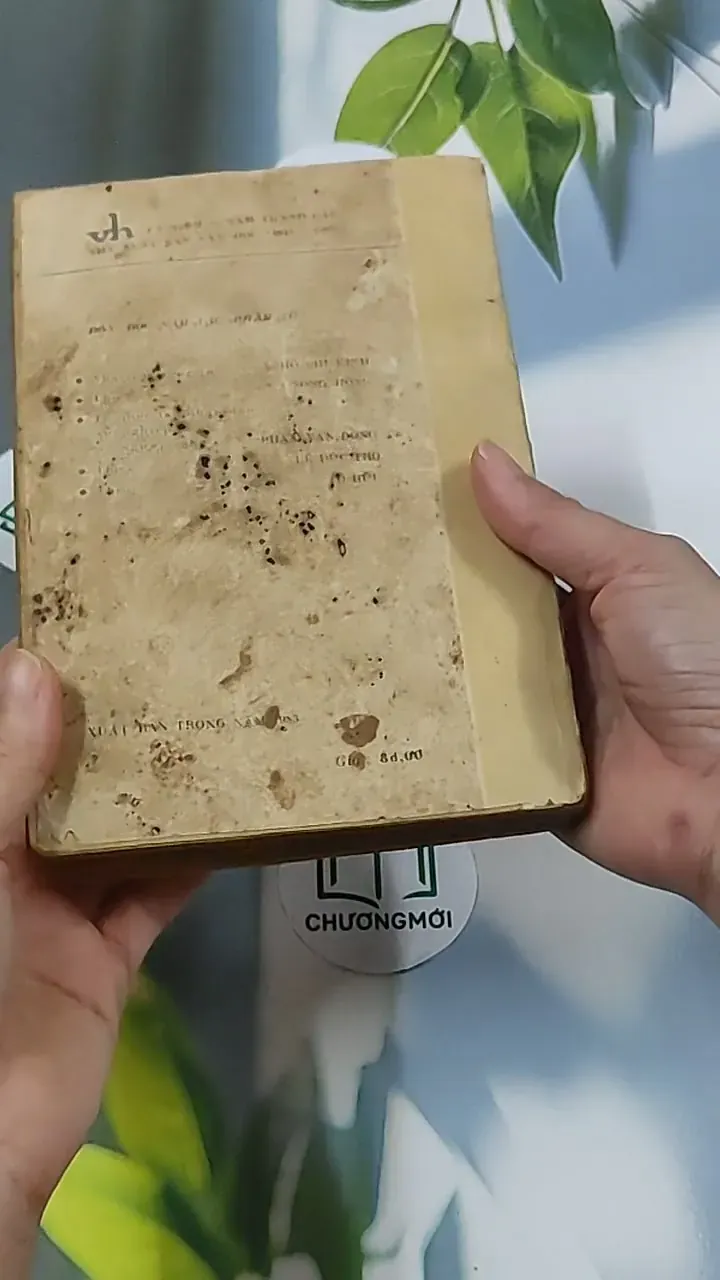 Nhận Thức và Thẩm Định (1983) - Đông Hoài 674969