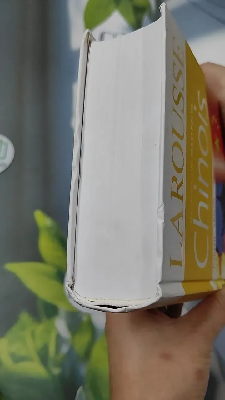 [MIỄN PHÍ BỌC SÁCH] Larousse Poche Plus Chinois 749592