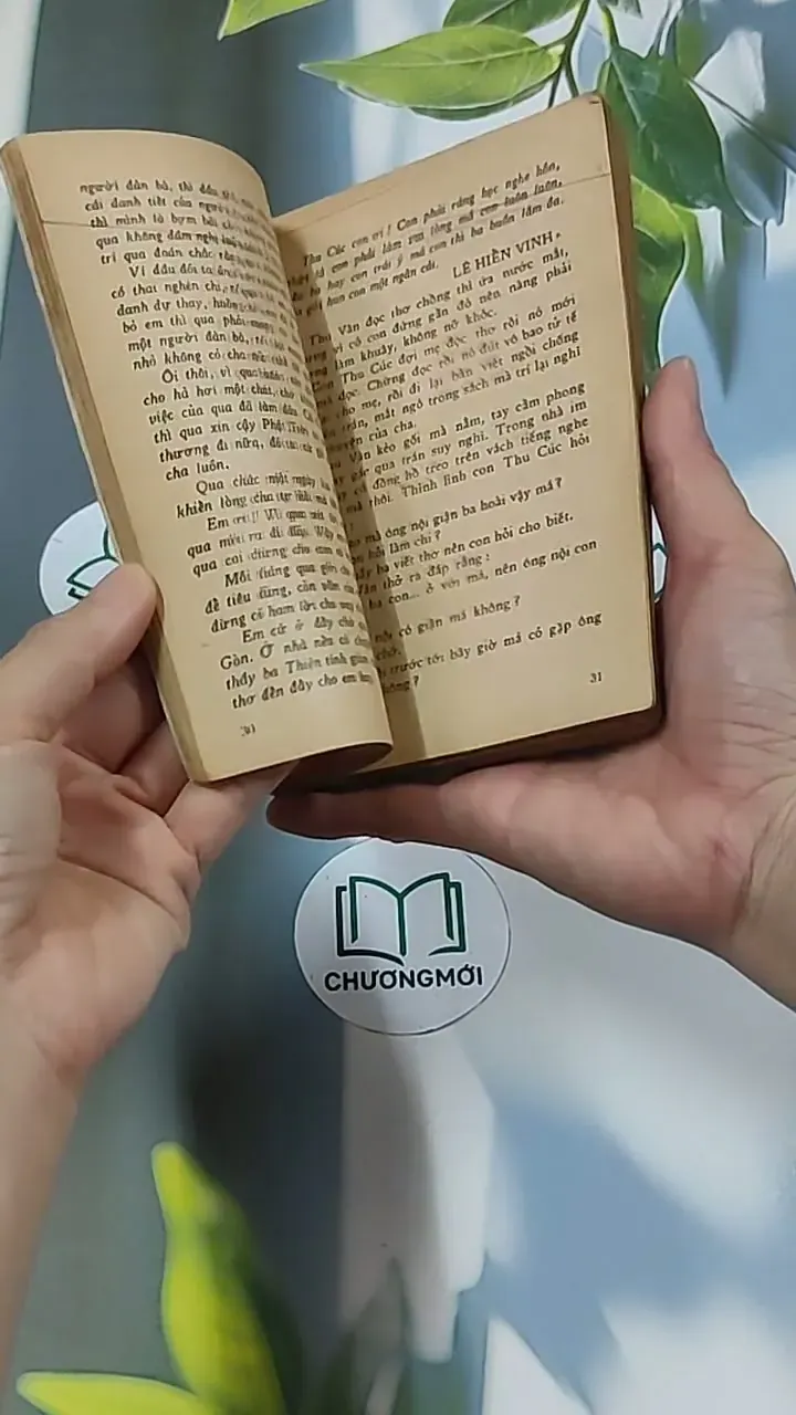 Chút Phận Linh Đinh (1996) - Hồ Biểu Chánh 674979