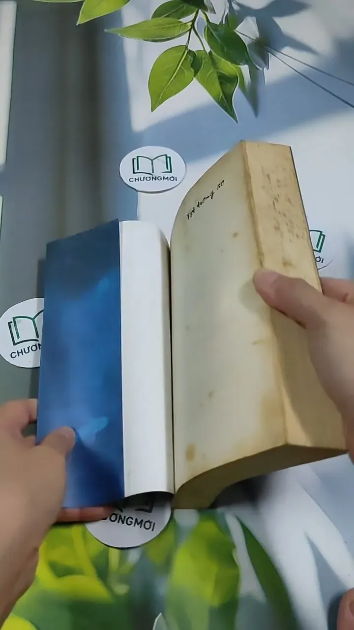 Vật Trong Ao - Na Chích Hồ Ly 705687