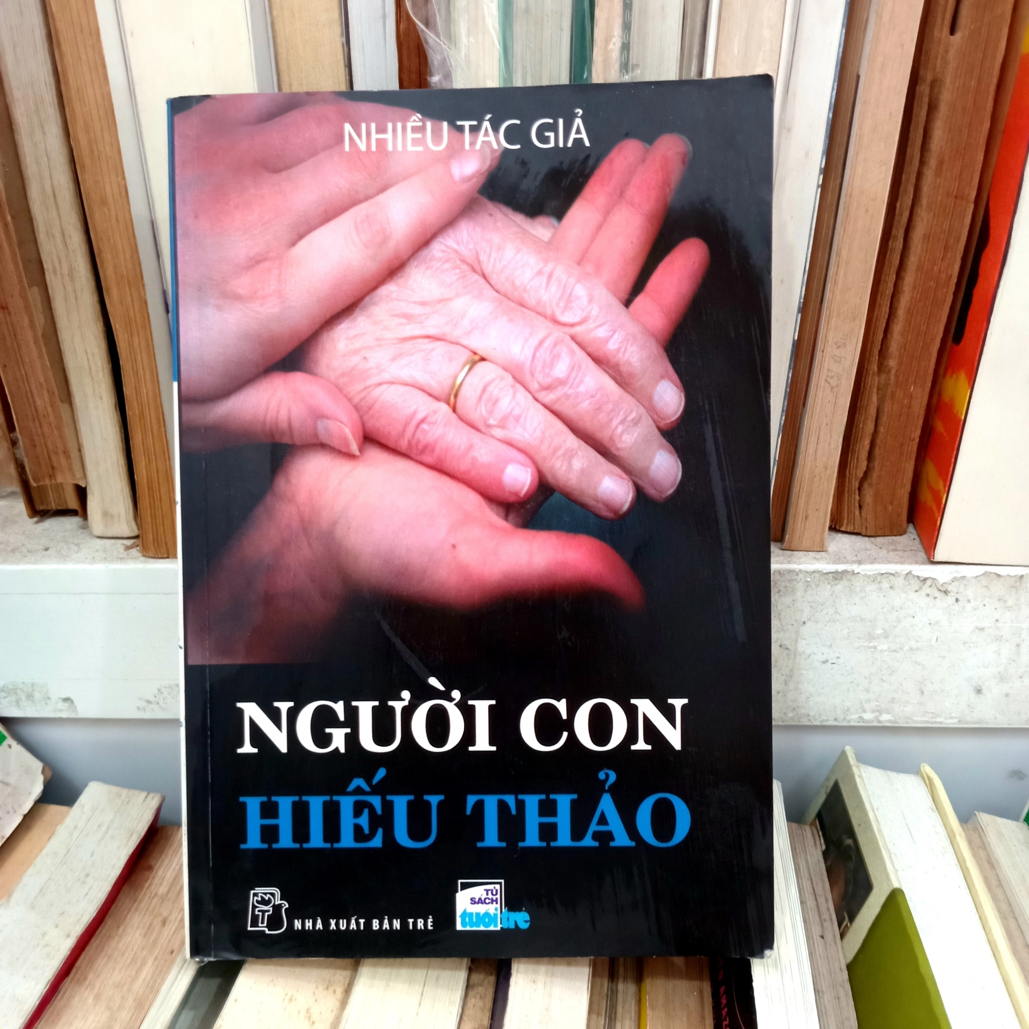 Người con hiếu thảo 📚 by Dân gian Việt Nam - Sách Book Cover - Ngọc Hiển Books