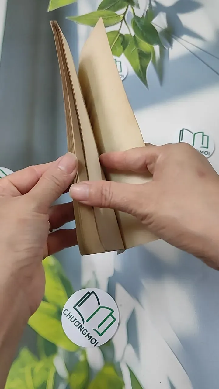 [XƯA] Việt Nam Cuộc Chiến Tranh Mười Ngàn Ngày - Hồ Sơ Mới Về Điện Biên Phủ (1989) - Michael Maclear 776008