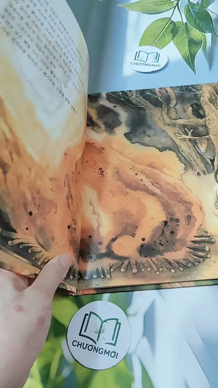 [Tặng nẹp góc] Truyện thiếu nhi Hàn Quốc: Moyamo Anu 22 -  모야모 아누와: 모기는 어떻게 생겨났는가;. 보여요?  732014