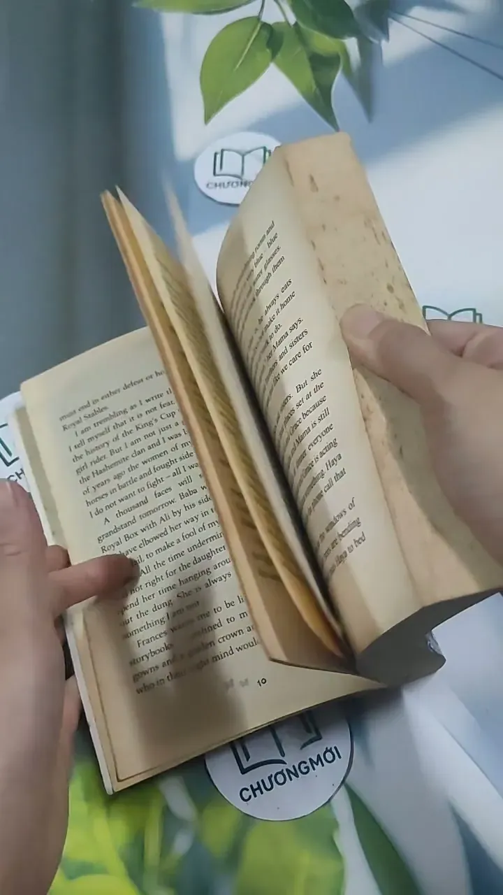 The Princess and the Foal - Stacy Gregg 715620