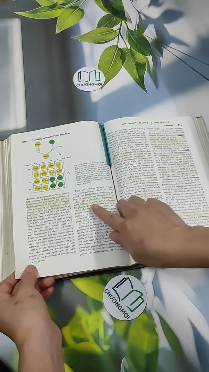 [MIỄN PHÍ BỌC SÁCH] The Plant World - Harry J. Fuller 750801