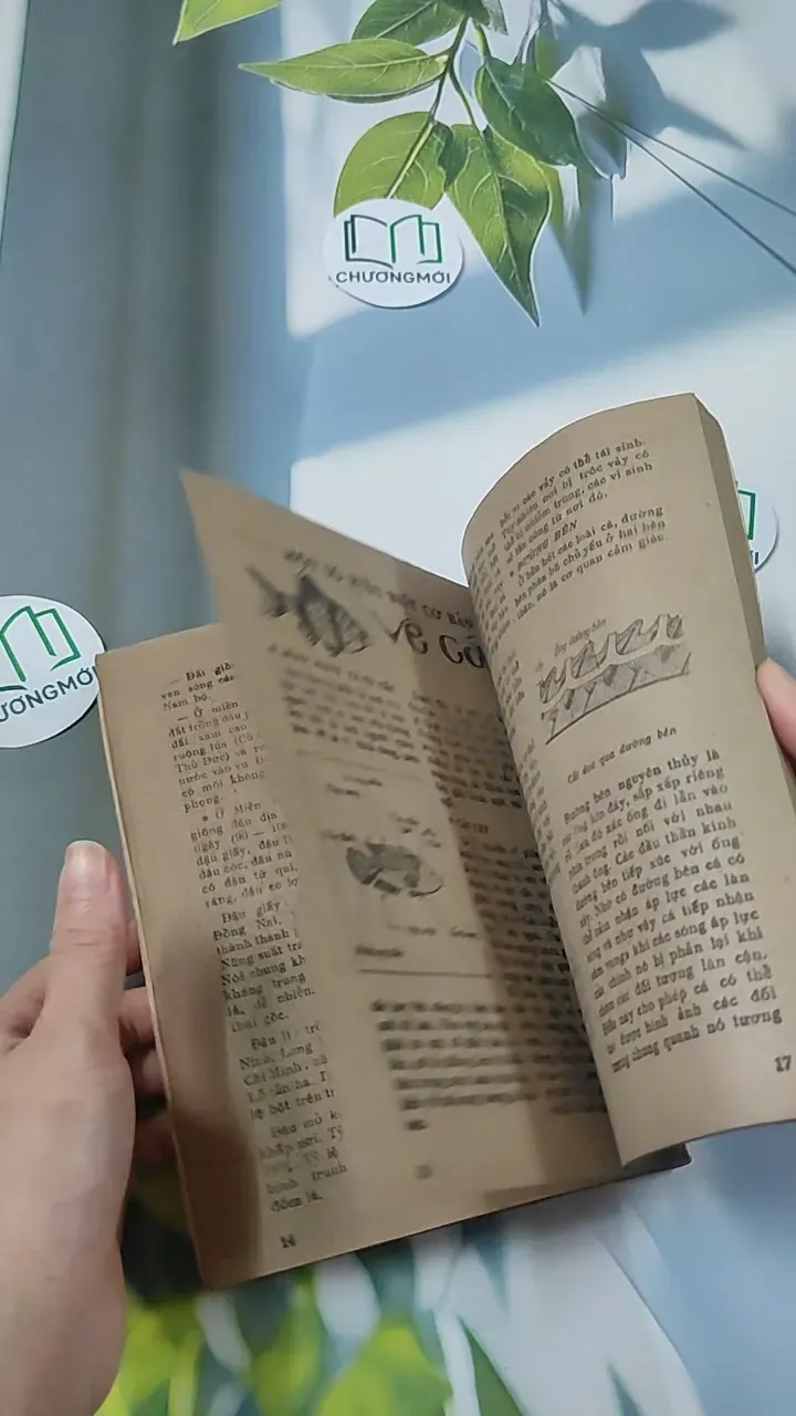 [XƯA] Tạp Chí Khoa Học - Đời Sống: Tình Đất Đỏ (1984) 775998