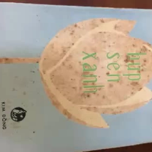 Búp sen xanh  474009