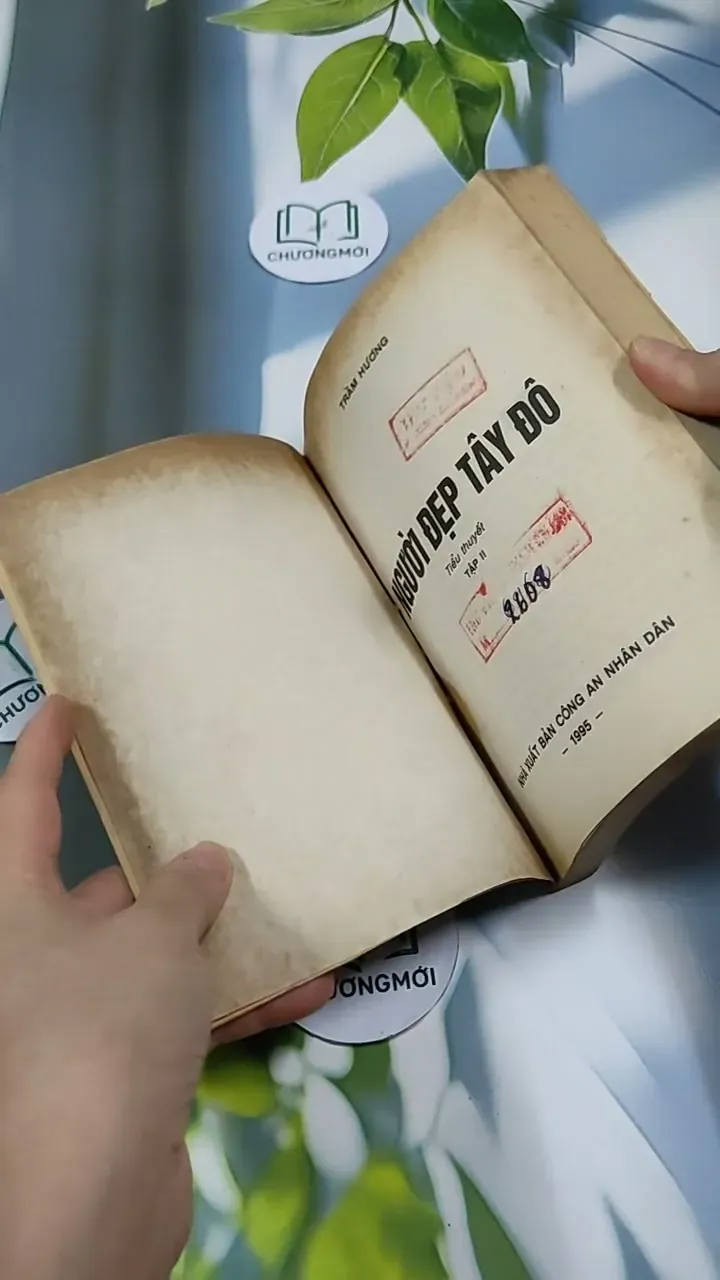 Người Đẹp Tây Đô (Tập 2) - Trầm Hương 713868