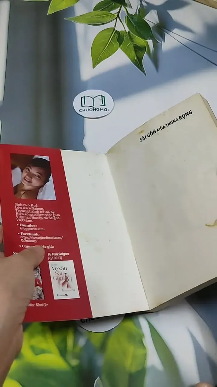 Sài Gòn Mùa Trứng Rụng - Chị Đẹp 705696