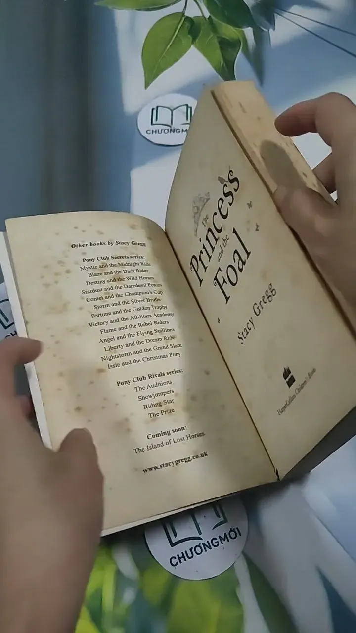 The Princess and the Foal - Stacy Gregg 715620