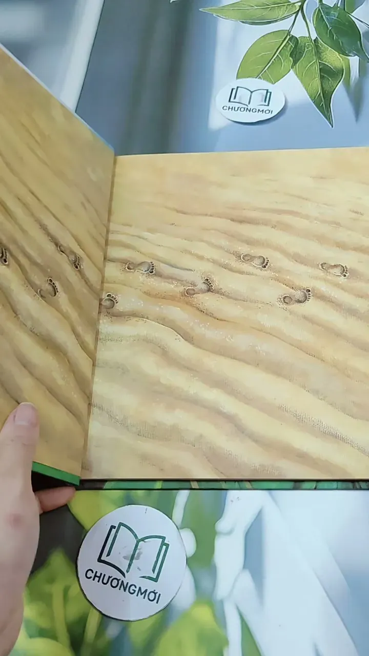 [Tặng nẹp góc] Truyện thiếu nhi Hàn Quốc: Moyamo Anu 24 -  모야모 아누와: 불행을 찾아간 원숭이;. 지혜의 열쇠 732017