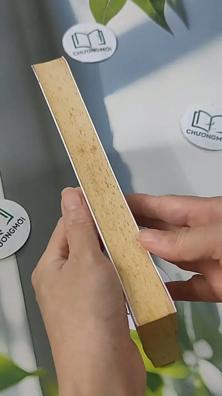 Thất Tịch Không Mưa - Lưu Vũ Tình 705586