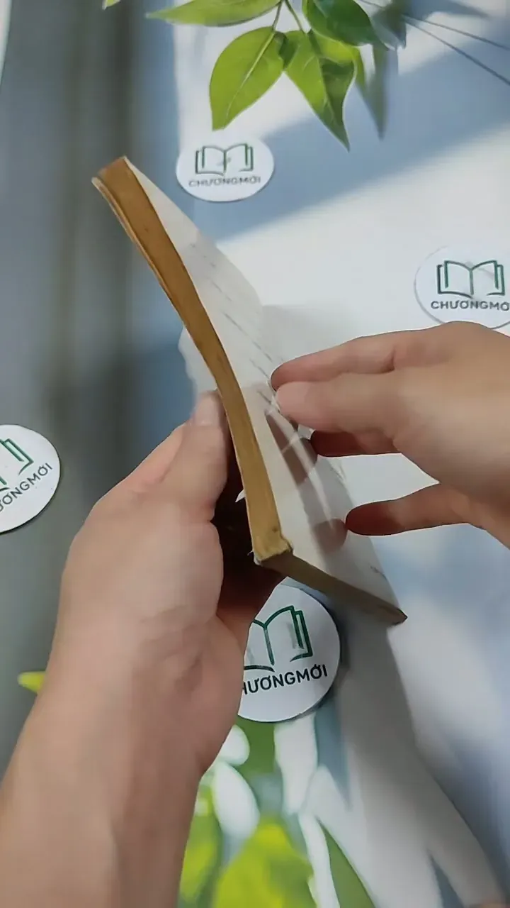 Lửa Hồng - Rolande Cause 713851