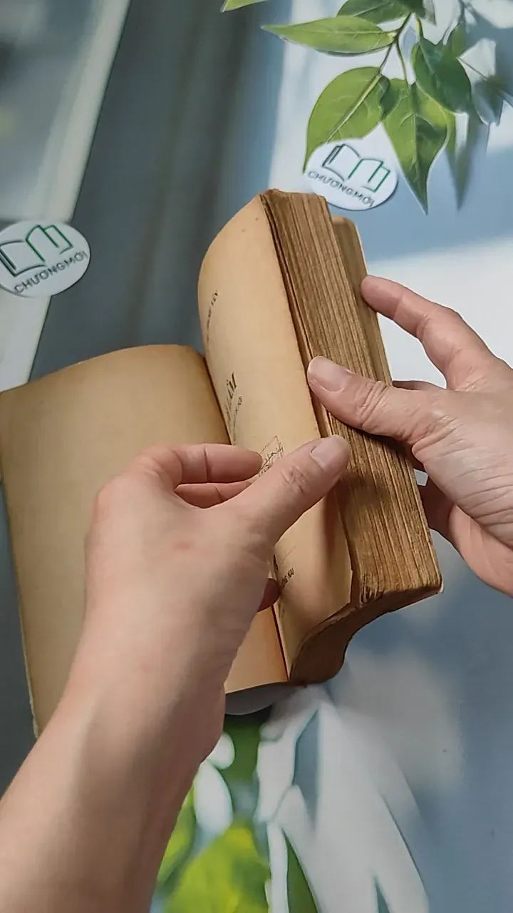 [XƯA] Lỗi Lầm (1991) - Đỗ Thị Thanh Vân 776065